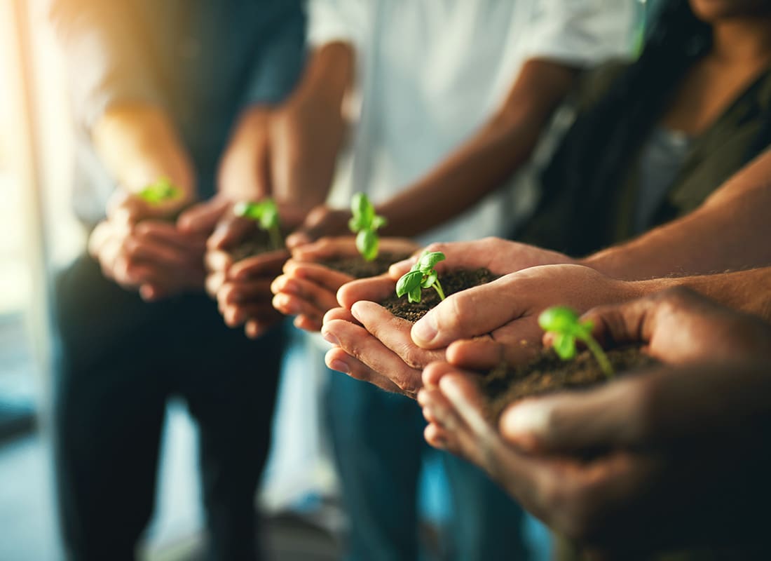 Green Policy - Closeup View of a Group of Employees Holding Young Seedlings in Their Hands While Standing in the Office