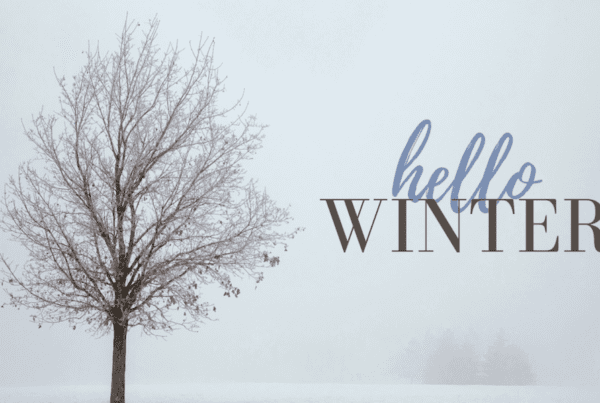 Blog Post - Winter Wise - Navigating the Chill with Clever Tips for Safety and Sanity